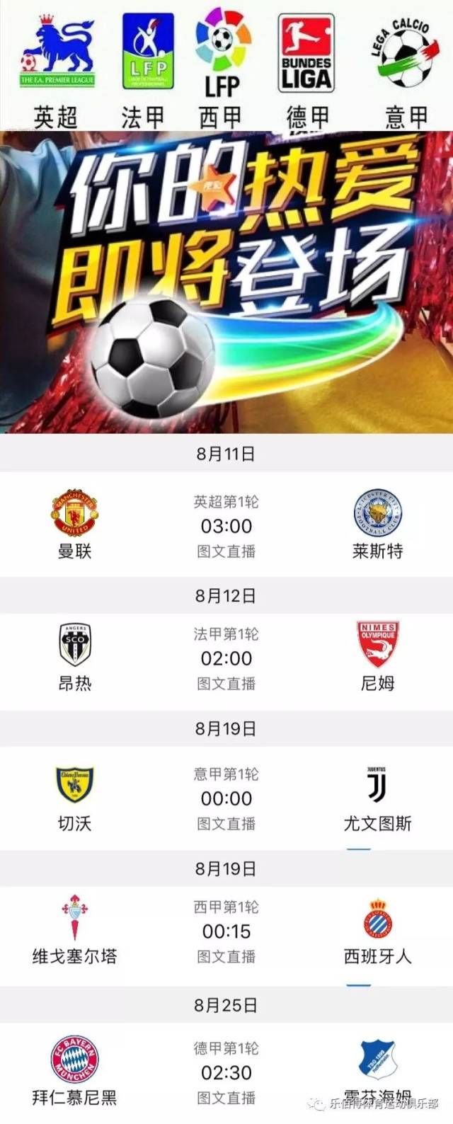 篮球的激情