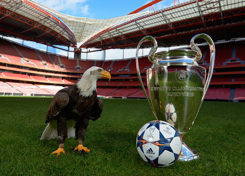 增加媒体关 增加媒体关