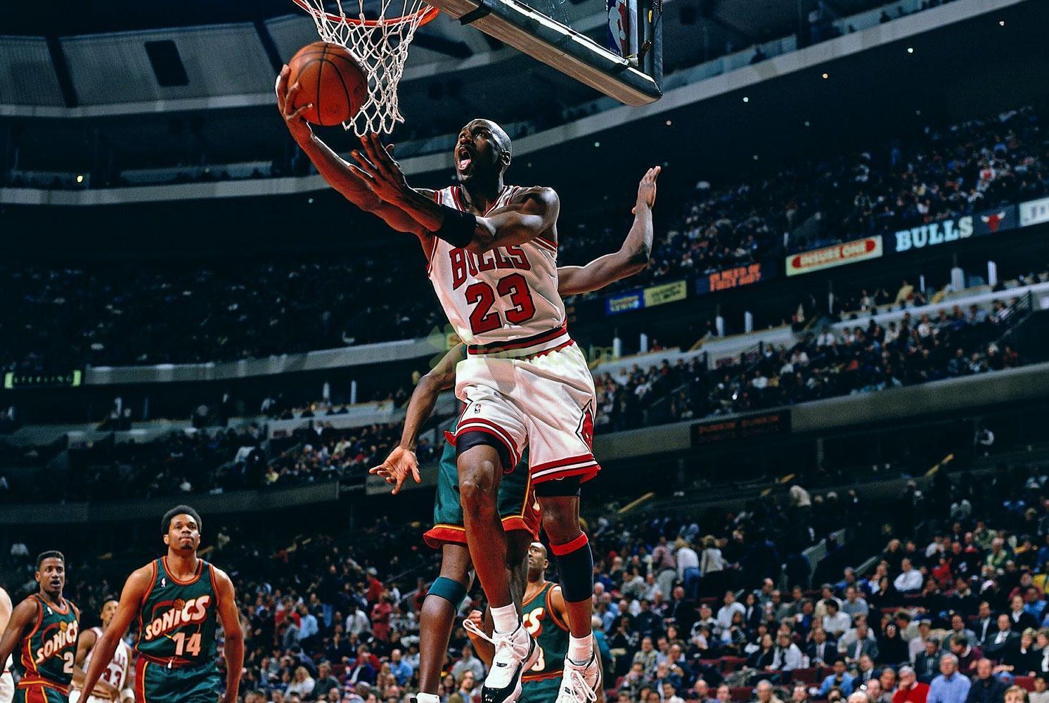 据绝对优势 据绝对优势